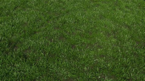 Unity 3d Grass Texture