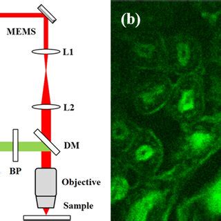 Color Online Experimental Setup SESAM Semiconductor Saturable