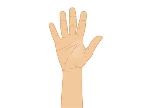 Animated Hand PNG Images HD PNG All