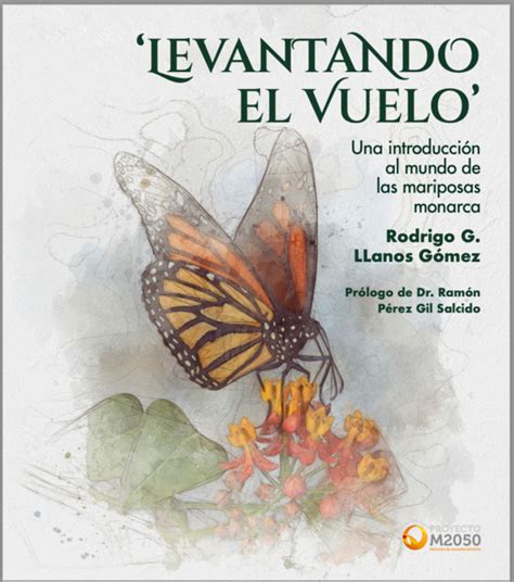 Levantando el vuelo una introducción al mundo de las mariposas monarca