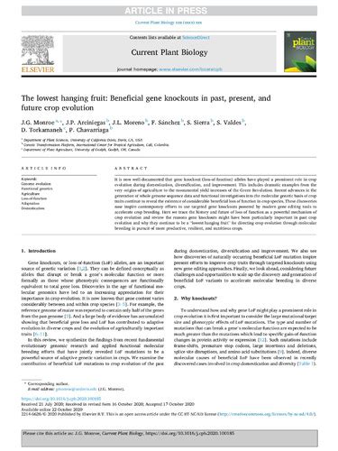 The Lowest Hanging Fruit Beneficial Gene Knockouts