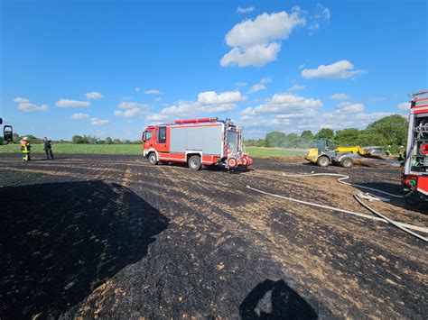 Fl Chenbrand Vegetationsbrand Freiw Feuerwehr Fl Rsheim Weilbach