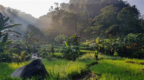 Kembali Ke Kampung Wisata Ciwaluh Berkemah Dan Mengunjungi Curug Cisadane