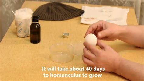 HOW TO CREATE HOMUNCULUS YouTube