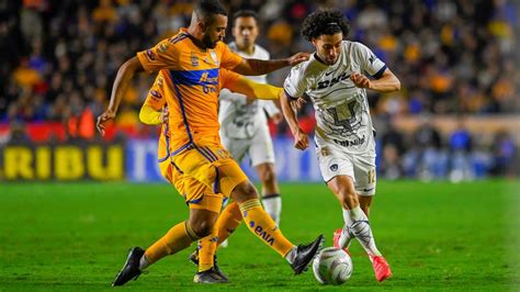 Tigres Vs Pumas ¿cuándo Fue La última Vez Que Los Capitalinos Ganaron En El ‘volcán’ Infobae