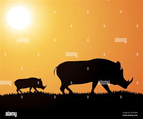 Wildschweine Familie Silhouette Bei Sonnenuntergang Vector Illustration