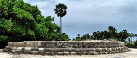 Touring Delft Island Of Jaffna