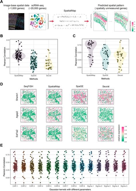 Frontiers Spatialmap Spatial Mapping Of Unmeasured Gene Expression