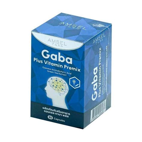 Amsel Gaba Plus Vitamin Premix Capsule Lazada Co Th