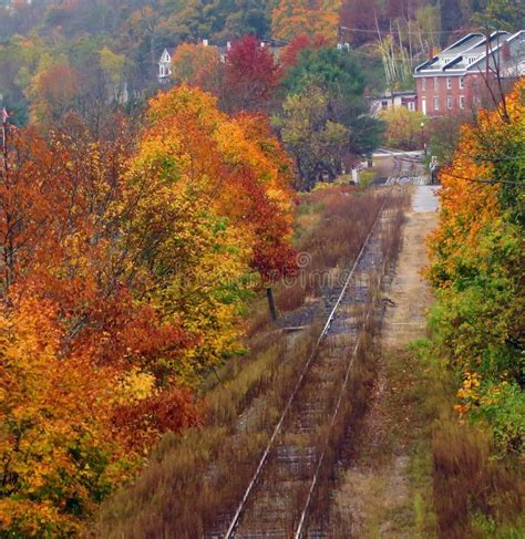 Autumn Train Tracks Picture. Image: 92524310