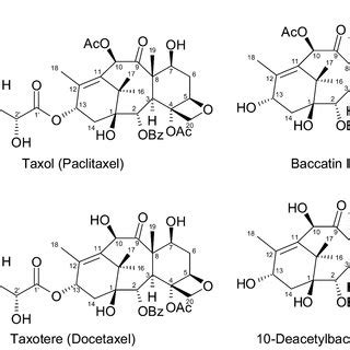 (PDF) Taxol Biosynthesis and Molecular Genetics