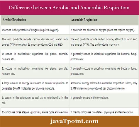 Examples of aerobic and anaerobic bacteria