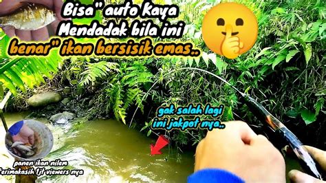 Rezeki Mancing Nilem Di Spot Potensial Bonus Ikan Nila Ikan Mas