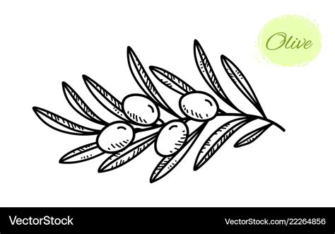 Olives Clipart Black And White