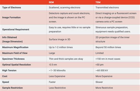 Electron Microscopy Tem Vs Sem Nanoimages