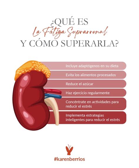 Qué Es La Fatiga Suprarrenal Y Cómo Superarla