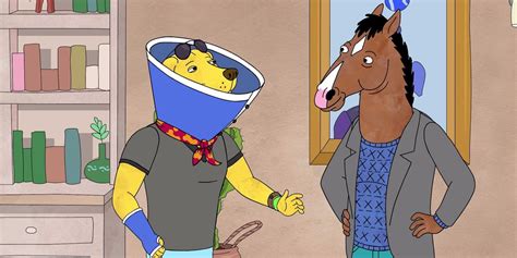 What BoJack Horseman Taught Us About Forgiveness