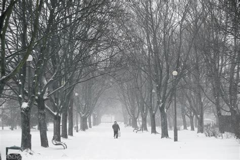 Pogoda Na Zim Synoptycy Ostrzegaj Przed Silnym Mrozem I