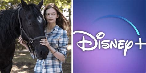 Disney Adapting Black Beauty For Disney Inside The Magic