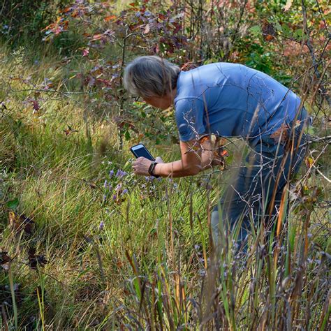 SAPS-NCGA: Buck Creek Serpentine Barrens with Matt Bushman - October