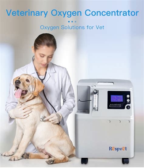 Veterinary Oxygen Therapy Equipment Suppliers and Factory - Made in ...