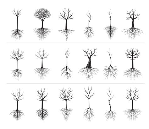 Set Black Trees With Roots Vector Illustration 21685120 Vector Art At