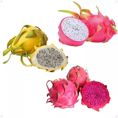 Mudas De Pitaya Pitaia Vermelha Rosa E Branca 3 Mudas Parcelamento