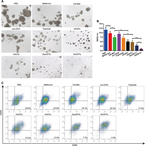 Inhibitory Effects On Cancer Stem Cell Like T Cells A Representative