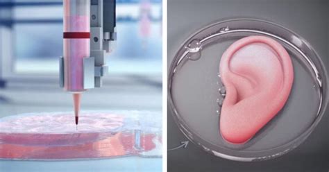 science fiction world   printed organs