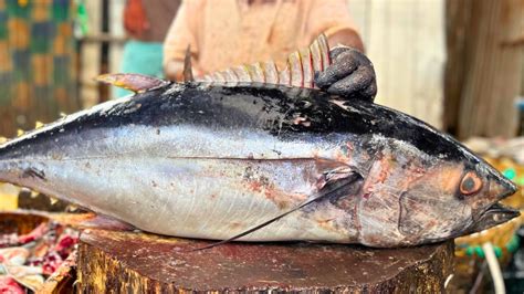 Kasimedu Mr Punga Biggest Yellow Fin Tuna Fish Cutting In