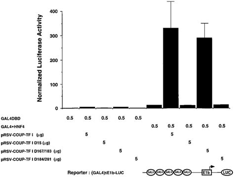 The E F Region Of Coup Tf Is Required For Coactivator Activity With