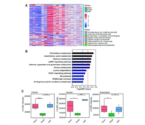 The Kegg Metabolic Pathway Analysis Of The Metabolites Reversed By Anp