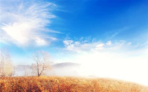 nature, fog, trees, cloud, landscape HD Wallpaper