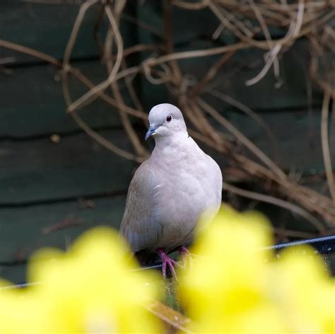 dover itinerary explore