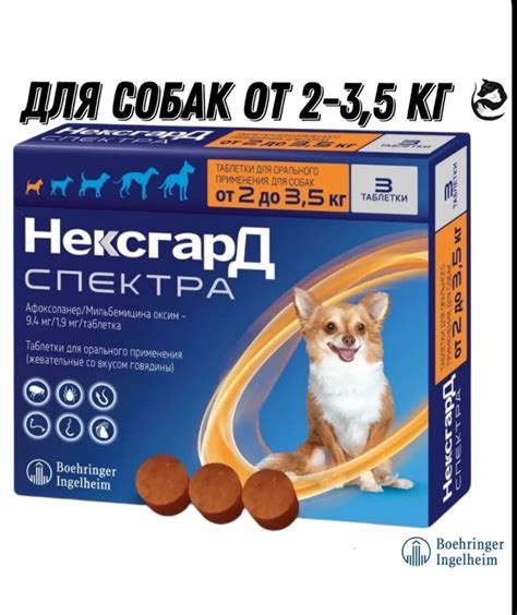до 08/2024 НексгарД Спектра XS от блох и клещей для мелких пород собак ...
