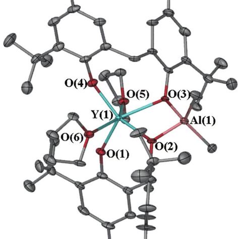 ORTEP Diagram Of Complex 11 Showing Atom Numbering Scheme For Relevant