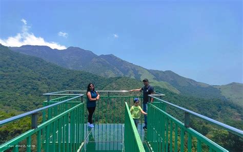 Glass Bridge in Wayanad | Experience the beauty of Wayanad