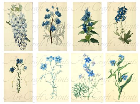 40 BLUE FLOWERS SET 1 Digital Collage Sheets Flowers Vintage Cards