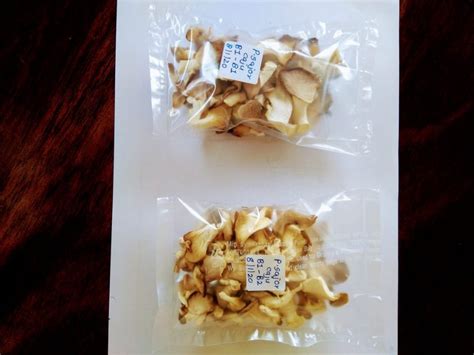 Maharashtra Dry Oyster Mushroom Packaging Type Plastic Bag Packaging