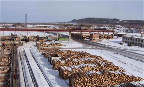 New Report Reveals Mixed Fortunes For Timber Industry