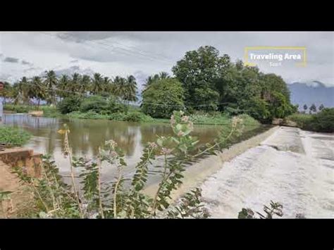 veerapandi river theni veerapandi mullai periyaar river youtube