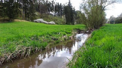 Ruhige Und Sanfte Ger Usche Der Natur Flussger Usche F R Innere Ruhe