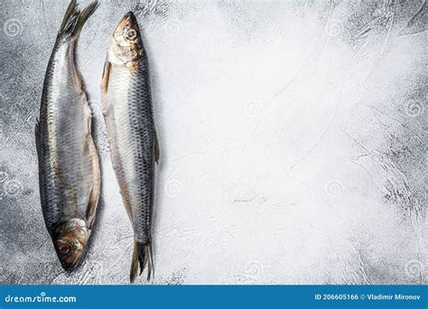 Pickled Whole Nordic Herring Gray Background Top View Stock Photo