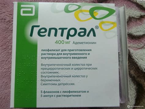 Гептрал для собак: показания и инструкция по применению, отзывы, цена