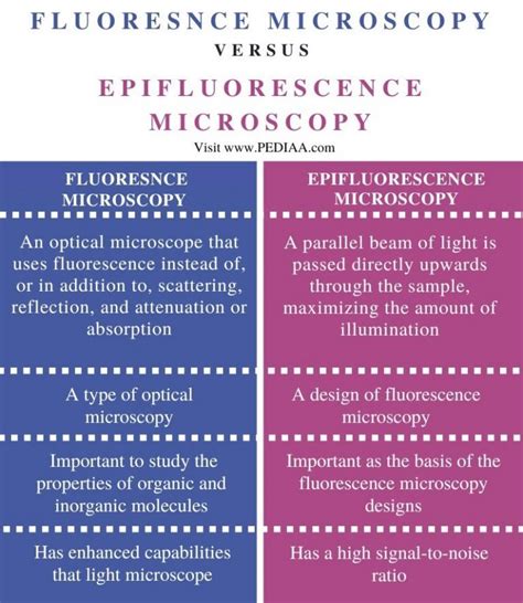 What is the Difference Between Fluorescence and Epifluorescence Microscopy - Pediaa.Com