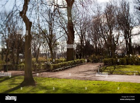 City park in winter Stock Photo - Alamy