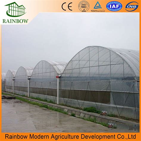 Green Houses Agriculture Commercial Greenhouse with Hydroponics System ...