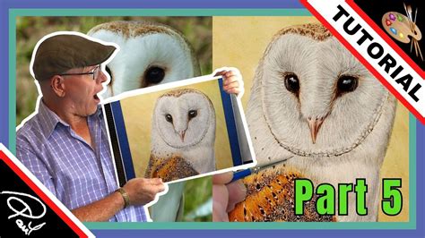 How To Paint Realistic BIRDS In WATERCOLOR Barn Owl Part 5 YouTube