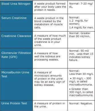 blood urea normal range - Julian Brown