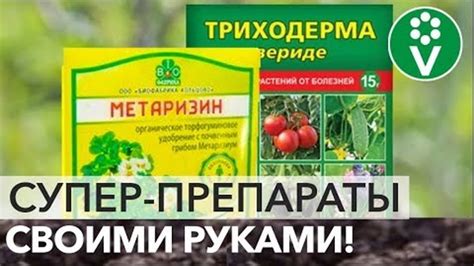 САМЫЙ ПРОСТОЙ СПОСОБ размножения биопрепаратов (триходерма, метаризин ...
